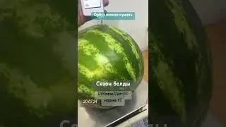 Орбуз почти норма