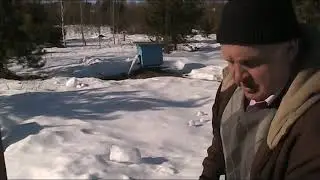 КАК УСКОРИТЬ РАЗВИТИЕ ПЧЕЛИНЫХ СЕМЕЙ В КОНЦЕ ФЕВРАЛЯ