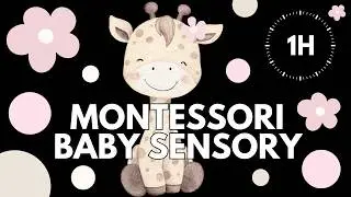 Montessori Baby Sensory 🌸🦒 | 1 Hour Low Stimulation | Calm Music | Aesthetic Baby Visuals