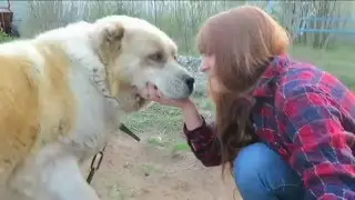 Последний день на майских в Хвойной. Трагизм зашкаливает)