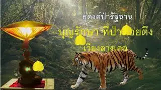 ๑๐๘. บุญรักษาที่ป่าดอยตึง ธุดงค์ป่ารัฐฉาน