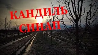 Формирование вверх растущей кроны яблони