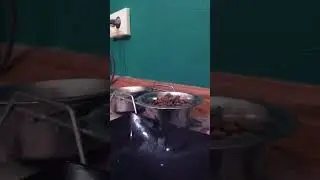 Мир глазами кошки(кота)или бесконечное видео