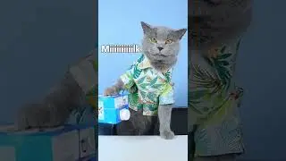 Grim Reaper： DO NOT WASTE Your Food!!👿| Funny Cat TikTok Challenge  