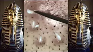 ضوء النهار في ضوء الليل #047