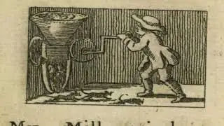 rats and mice
