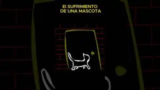 EL SUFRIMIENTO DE UNA MASCOTA CUANDO SU DUEÑO SE FUE DE ESTE MUNDO #animation #animación #gatos #cat