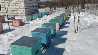 17 марта  Небольшой облёт. Новый инвентарь.