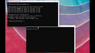 How to check Reverse DNS Lookup