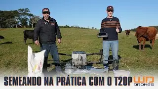 Aula prática - Semeando aveia com drones agrícolas da DJI para pastagem de inverno