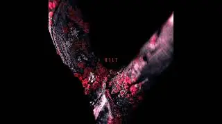[K-POP R&B] DOON (둔) - WYLT_ATOENT