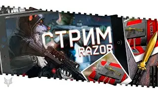 ПОХМЕЛЬНЫЙ СТРИМ ВАРФЕЙС 1 ЯНВАРЯ!ДЛЯ ТЕХ, КТО ВЫЖИЛ:) КЭШБЕК,ОБНОВЛЕНИЕ МАГАЗИНА И 2023 В WARFACE!