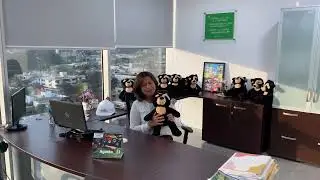 CORAZONES SOLIDARIOS SEDISA