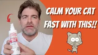 How to Decrease Anxiety in Cats | Nature's Calming Spray Works