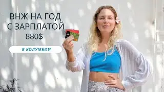 Виза Диджитал Номада в Колумбии с зарплатой от 880$ полная инструкция