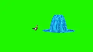 Duck Crossing fountain Green Screen - green screen video