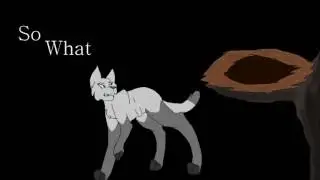 Bird Song Pmv