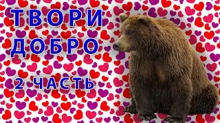 Мишка Кузя твори добро