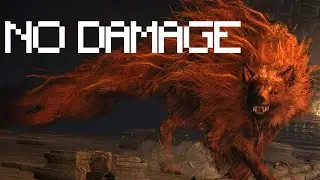 Red Wolf of Radagon Boss Fight (No Damage) [Elden Ring]