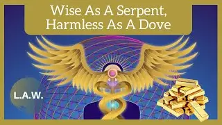 What Is Your Economic Plan? Be As Wise As A Serpent, And As Harmless As A Dove.