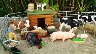 The farm/ Toros/सांड/Bulls/Vacas/Mucche