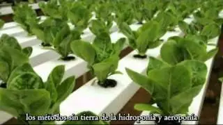 Alternativas Deslumbrantes