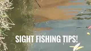 Sight Fishing Tips!