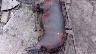 надо что-то вложить чтобы  что-то поиметь. жизнь в селе.