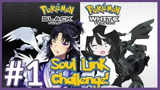 I HATE BIDE! [1]【Pokemon Black/White SoulLink】