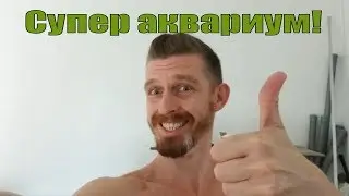 Самый бюджетный аквариум. Результаты#