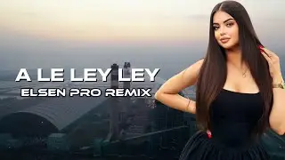 A Le Ley Ley (Remix Elsen Pro) TikTok / Diskoteka Boom.