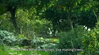 Why can't we see wind?