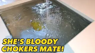 Blocked Drain FULL with 20 years worth of Fat, Grease & Rotten Food