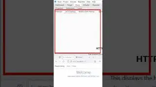 Proxy Localhost Traffic with Burp Suite: A Simple Guide