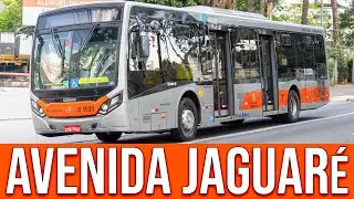 Avenida Jaguaré - Movimentação de Ônibus 