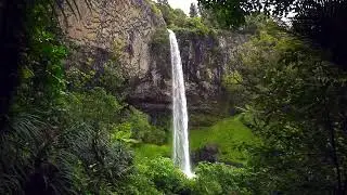 Rain Forest with waterfall and birds sounds for 8 Hours • Relaxing Music, Sleeping Music