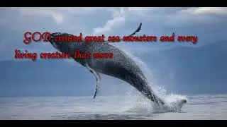 Genesis 1:1-31