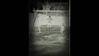 AE