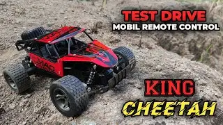 Test Drive Mobil RC Murah - King Cheetah