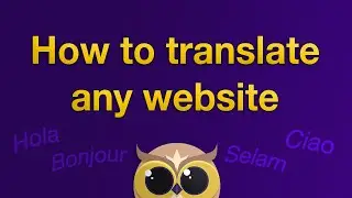 How to translate any website for free with Helperbird