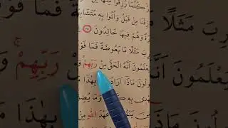 Kuranı kerime yeni başlayanlar için bakara süresi ayet 25-29 ayetler..