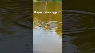 Про фигуру-фон 😀 «А и Б сидели на трубе, А упала, Б пропало. Что осталось?». Так и в жизни, фигуры…