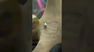 Woodworking Fix for Curves