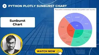 Sunburst Chart | Python Plotly Tutorial #12