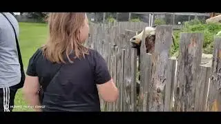 Поездка в Весёлое подворье