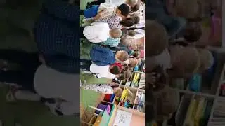 Образовательная деятельность в средней группе "Кто излечит, исцелит?"