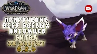 Приручение всех боевых питомцев в WoW Битва за Азерот 8.2.5