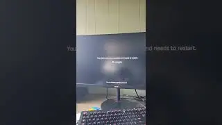 GUARDEX 300II SPECIAL has BSOD