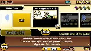 The Battle Cats - Hip Hop Cat True Form Evolution - Can Can Cat!