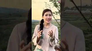BÌNH AN Ở ĐÂU? - HOÀNG Y NHUNG